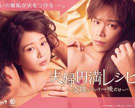 夫妻圆满秘籍 要不要交换？一晚就好 第12集(大结局)