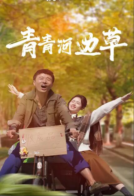 青青河边草2024 第45集