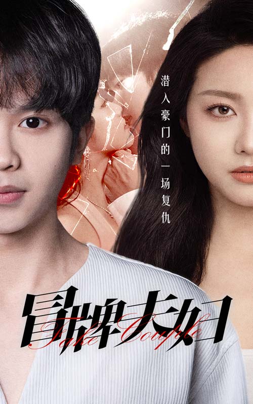 冒牌夫妇 合集版