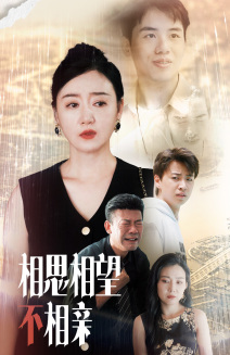 相思相望不相亲 第32集