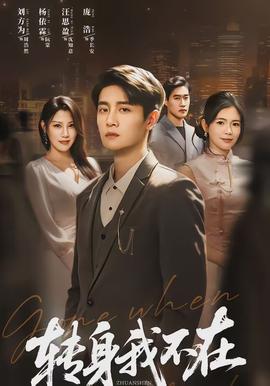 转身我不在(全集)