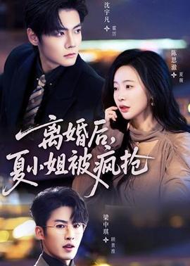 离婚后，夏小姐被疯抢(全集)