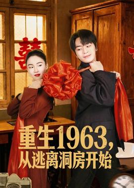 重生1963，从逃离洞房开始(全集)